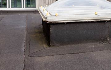 disadvantages of Coed Y Wlad flat roofs