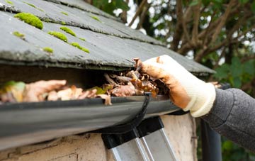 gutter cleaning Coed Y Wlad, Powys