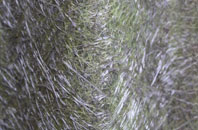 Coed Y Wlad fibreglass roof work